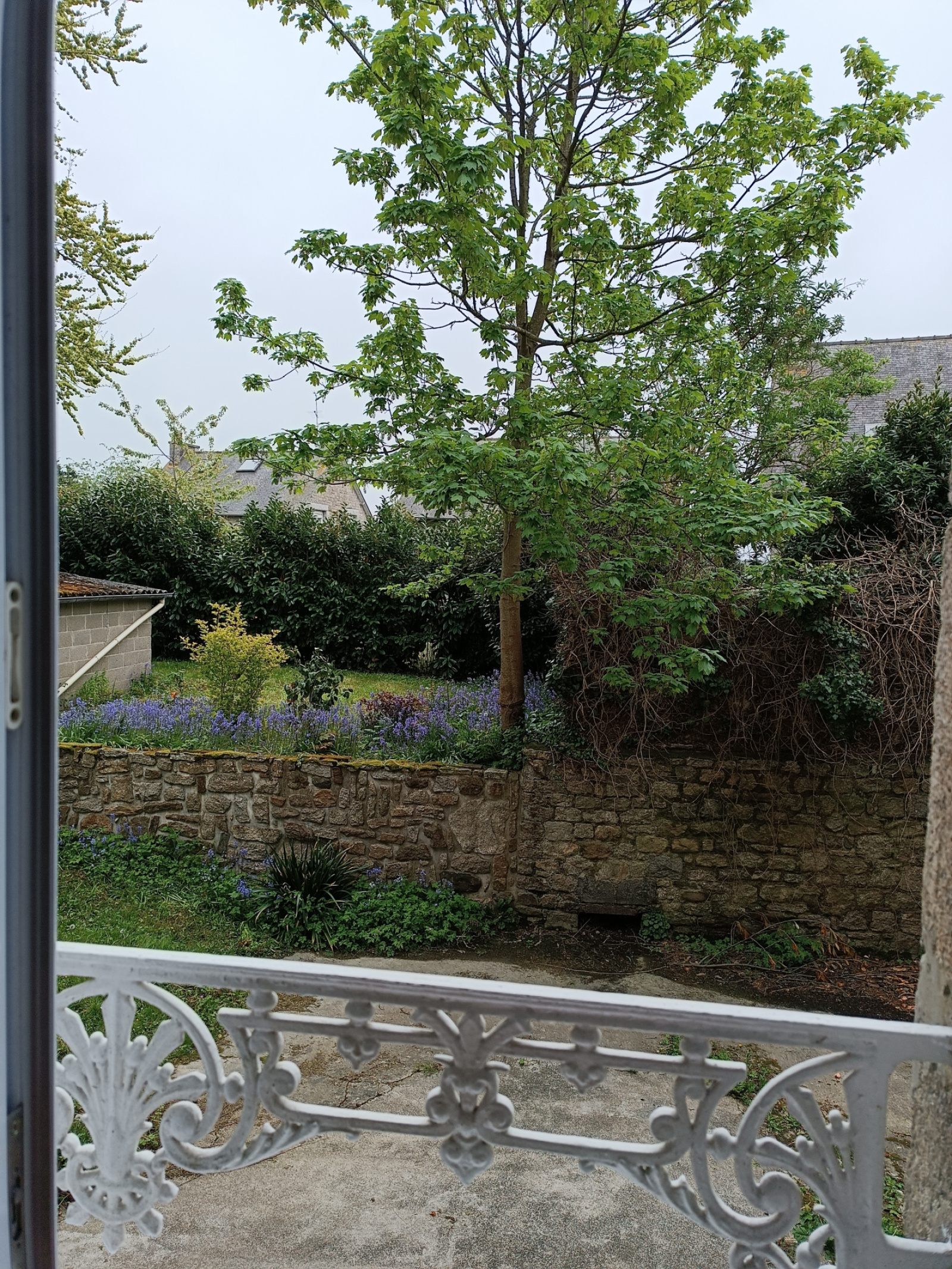 Image_, Appartement, Dinan, ref :432